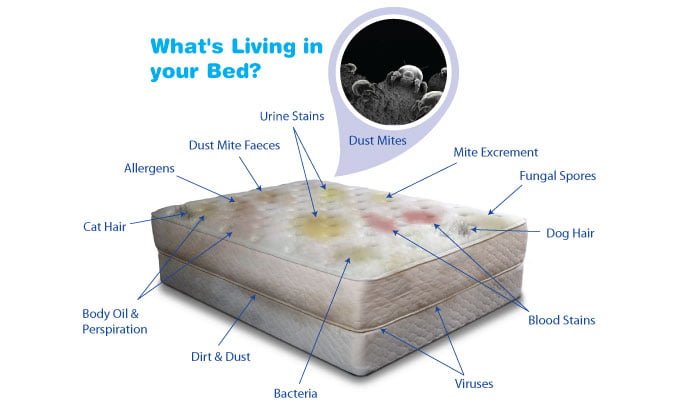 mattress cleaning melbourne